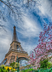 Fototapeta na wymiar Parigi, Francia, Tour Eiffel, Notre Dame, viaggio, 