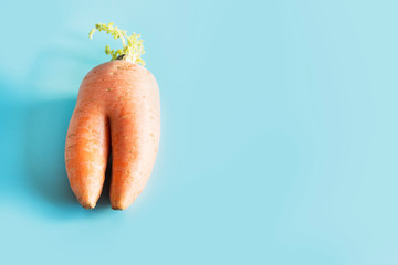 Ugly one organic carrot on pastel blue. Space for text. Concept organic vegetables.