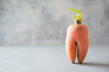 Ugly one organic carrot. Space for text. Concept organic vegetables.