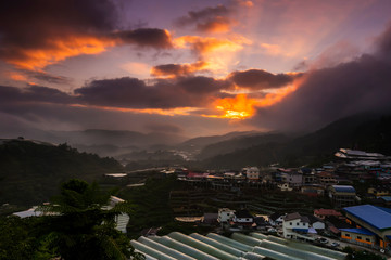 Cameron Highland at state of Pahang, Malaysia
