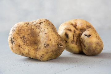 Ugly potatoes. Concept organic vegetables.