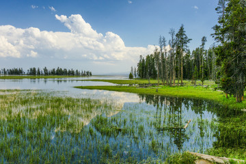 Pelican Creek in Yellowstone National Park in Wyoming, United States