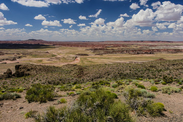 Fototapeta premium Pintado Point in Petrified Forest National Park in Arizona, United States