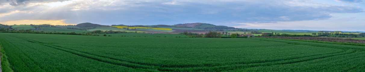 Fototapeta na wymiar Panorama der Landschaft in der Nähe von St. Andrews/Schottland