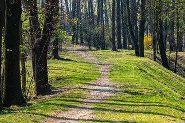 Bednarski Park in Krakow