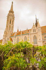 Matthias church in spring Budapest 2019