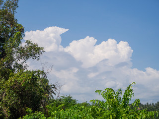 Obraz premium Beautiful, cumulus clouds in the blue sky