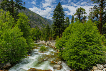 Roaring River in Kings Canyon National Park in California, United States
