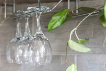 rows of empty wine glasses upside down on bar.
