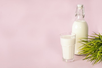 bottle of Fresh milk and glass of milk for breakfast on a pink background