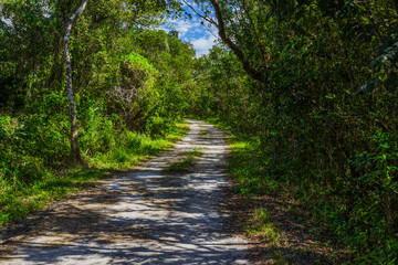Fototapeta na wymiar Rowdy Bend Trail in Everglades National Park in Florida, United States