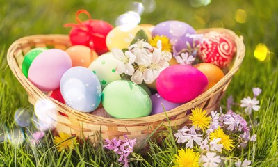 Easter colorful eggs on green grass