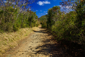 Salt Pond Trail in Virgin Islands National Park on the island of St. John, United States