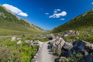 Savage River Trail in Denali National Park in Alaska, United States