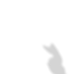 background of shadows Cat on a white wall. White and Black for overlaying a photo or mockup