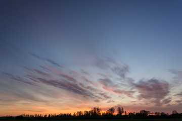 Trees on the horizon, sky and colorful clouds after sunset