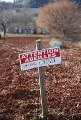 Panneau attention abeilles r&ucirc;ches