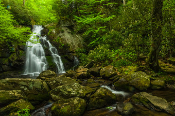 Naklejka premium Spruce Flats Falls w Parku Narodowym Great Smoky Mountains w Tennessee, Stany Zjednoczone
