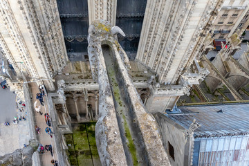 Aerial view of gargoyle in Notre Dame Cathedral