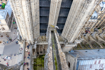 Aerial view of gargoyle in Notre Dame Cathedral