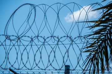 Barbwire fence at the Mexican Border - travel photography