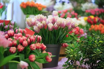 Bouquets of tulips on the counter of a flower shop.