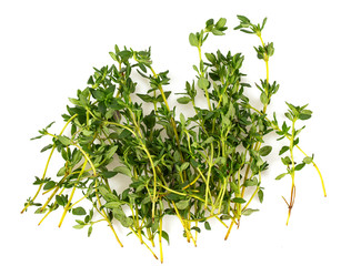 thyme isolated on white