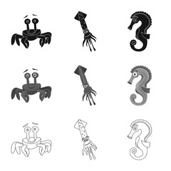 Isolated object of sea and animal sign. Set of sea and marine stock vector illustration.
