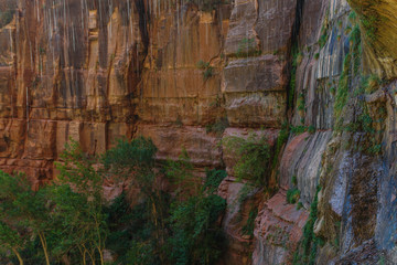 Weeping Rock in Zion National Park in Utah, United States