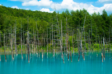 青い池