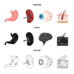Vector illustration of body and human sign. Collection of body and medical vector icon for stock.