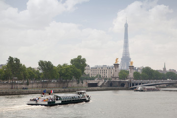 Fototapeta na wymiar Paris view - Alexander the third bridge over river Seine