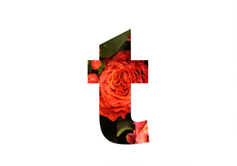 Floral font letter T from a real red-orange rose for bright design. Stylish font of flowers for conceptual ideas.