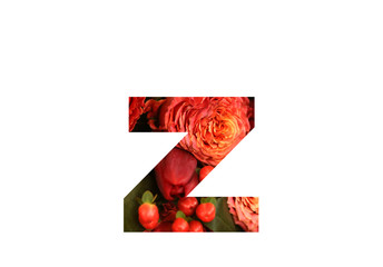 Floral font letter Z from a real red-orange rose for bright design. Stylish font of flowers for conceptual ideas.