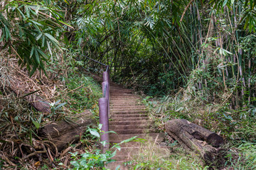 Ladder on the way up the mountain