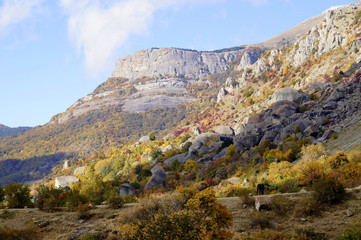 Fototapeta na wymiar Autumn in the mountains. The southern part of Russia. Demerdzhi mountain range
