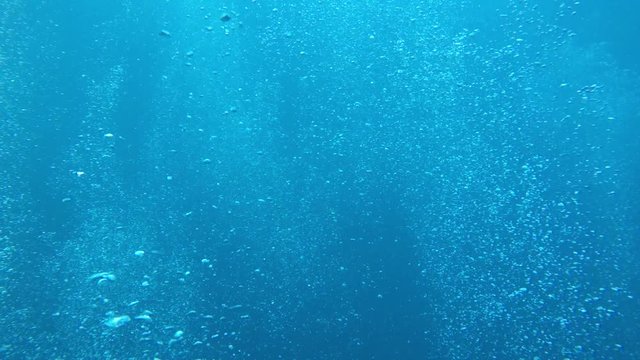 Underwater air bubbles video 