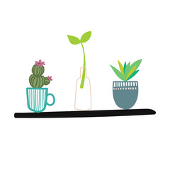 Hand drawn house plants and flowers. Scandinavian style