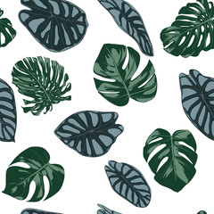 Vector Tropic Seamless Pattern. Philodendron and Alocasia Leaves. Hand Drawn Jungle Foliage in Watercolor Style. Exotic Background. Seamless Tropic Leaf for Textile, Cloth, Fabric, Decoration, Paper.