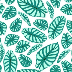 Seamless Tropical Pattern. Trendy Background with Rain Forest Plants. Vector Leaf of Alocasia. Araceae. Handwritten Jungle Foliage in Watercolor Style. Seamless Exotic Pattern for Textile, Fabric.