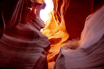 Antelope Canyon - amazing colors of the sandstone rocks - travel photography