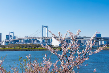 Obraz premium (東京都-都市風景)レインボーブリッジと東京湾岸風景５
