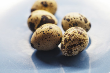  raw quail eggs on a plate.  quail eggs on a blue background