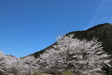 榛原ふれあい広場