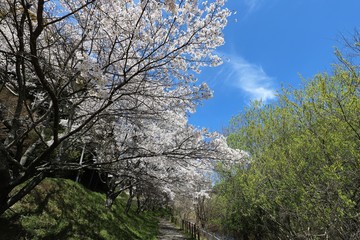 榛原ふれあい広場