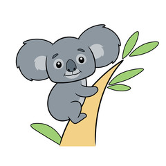 Koala bear on a tree