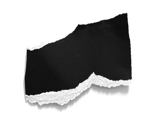 pieces of torn paper texture background, copy space.