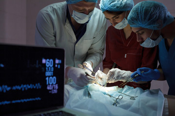 a group of surgeons doing operations in a hospital.