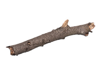 Fototapeta premium Single dry tree branch, isolated on white background. Stick tree branch from nature for design.