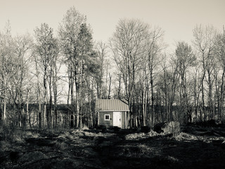 abandoned cottage on the island